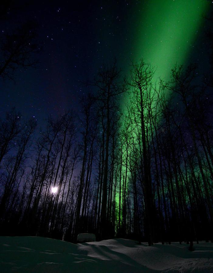 Wildmoon Home Fairbanks Exterior foto